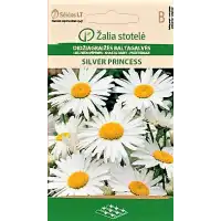 Голяма Маргаритка Сребърна принцеса Leucanthemum maximum