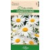 Голяма Маргаритка Сребърна принцеса Leucanthemum maximum