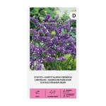 Лимониум Син Limonium sinuatum