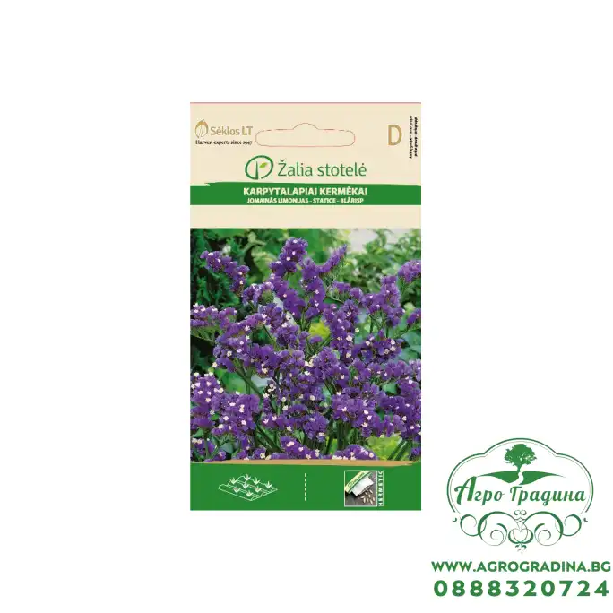 Лимониум Син Limonium sinuatum Лимониум Син Limonium sinuatum