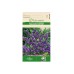 Лимониум Син Limonium sinuatum – Саксийни и градински цветя