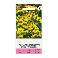 Лимониум Жълт Limonium sinuatum