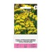 Лимониум Жълт Limonium sinuatum – Саксийни и градински цветя