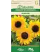 Декоративен слънчоглед Бамбино Helianthus annuus Bambino – Саксийни и градински цветя