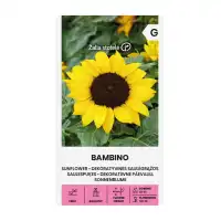Декоративен слънчоглед Бамбино Helianthus annuus Bambino