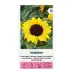 Декоративен слънчоглед Бамбино Helianthus annuus Bambino – Саксийни и градински цветя