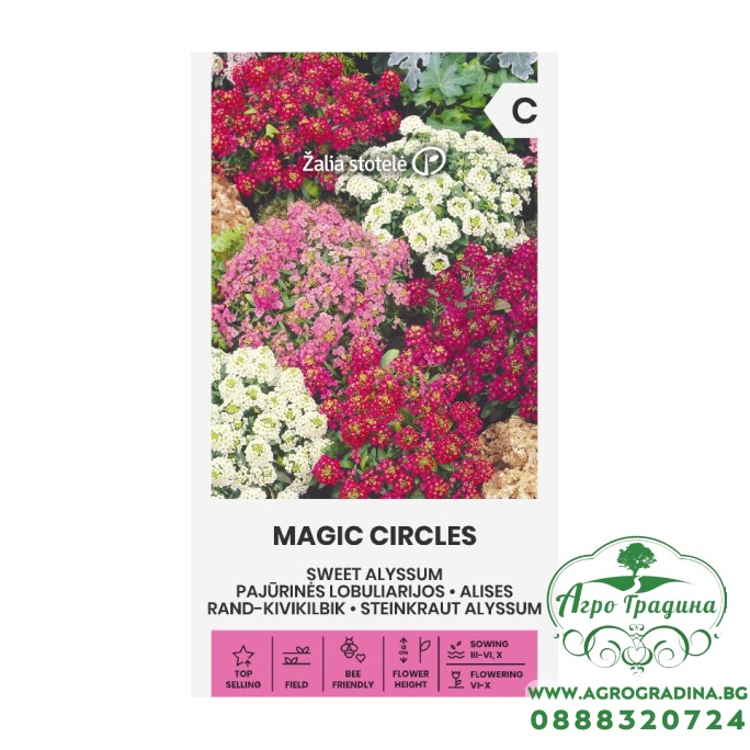 Алисум Микс Магически кръгове Lobularia maritima Magic Circles – Саксийни и градински цветя