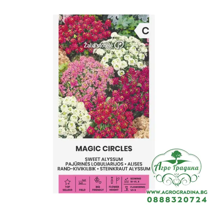 Алисум Микс Магически кръгове Lobularia maritima Magic Circles Алисум Микс Магически кръгове Lobularia maritima Magic Circles