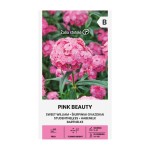 Карамфил Пинк Бюти Dianthus barbatus Pink Beauty