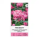 Карамфил Пинк Бюти Dianthus barbatus Pink Beauty