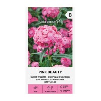 Карамфил Пинк Бюти Dianthus barbatus Pink Beauty