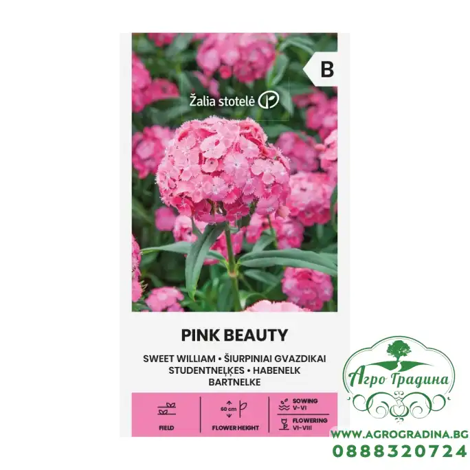 Карамфил Пинк Бюти Dianthus barbatus Pink Beauty – Саксийни и градински цветя
