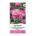 Карамфил Пинк Бюти Dianthus barbatus Pink Beauty – Саксийни и градински цветя