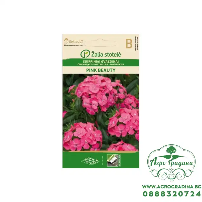 Карамфил Пинк Бюти Dianthus barbatus Pink Beauty Карамфил Пинк Бюти Dianthus barbatus Pink Beauty