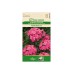 Карамфил Пинк Бюти Dianthus barbatus Pink Beauty – Саксийни и градински цветя