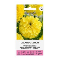Тагетес Calando Lemon