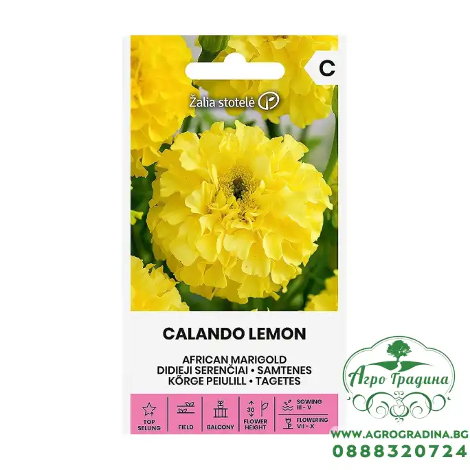 Тагетес Каландо Лемон Tagetes erecta Calando Lemon Тагетес Каландо Лемон Tagetes erecta Calando Lemon