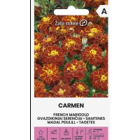 Тагетес Кармен Tagetes patula Carmen