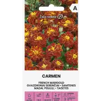 Тагетес Кармен Tagetes patula Carmen
