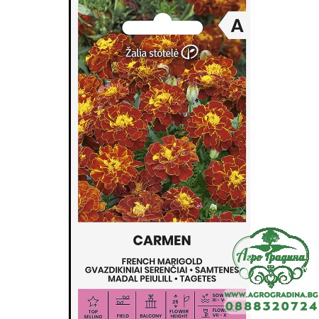 Тагетес Кармен Tagetes patula Carmen