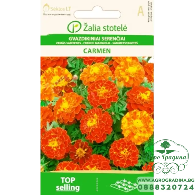 Тагетес Кармен (Френски невен) Tagetes patula