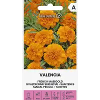 Тагетес Валенсия Tagetes patula Valencia