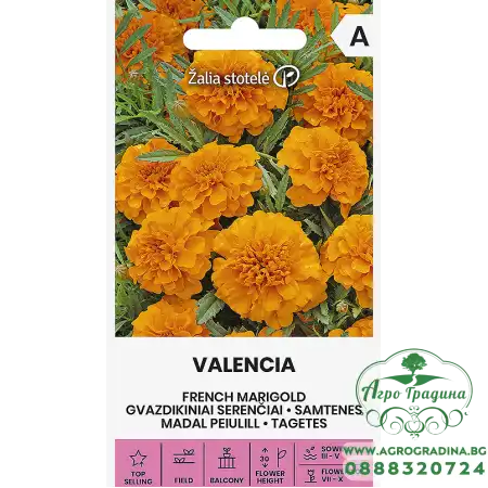 Тагетес Валенсия Tagetes patula Valencia
