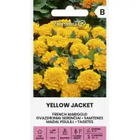 Тагетес Йелоу Джакет Tagetes patula Yellow Jacket