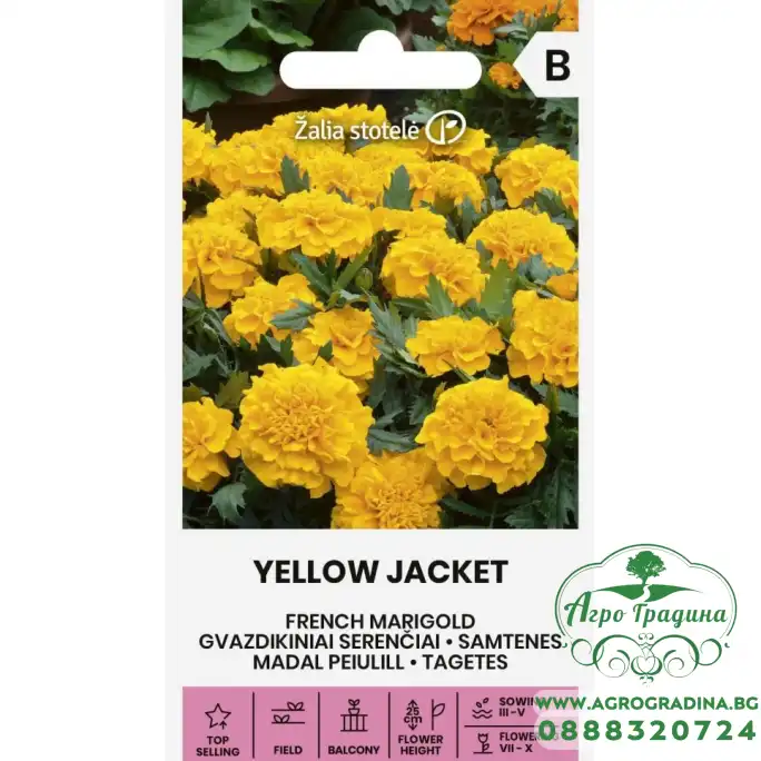 Тагетес Йелоу Джакет / Tagetes patula Yellow Jacket