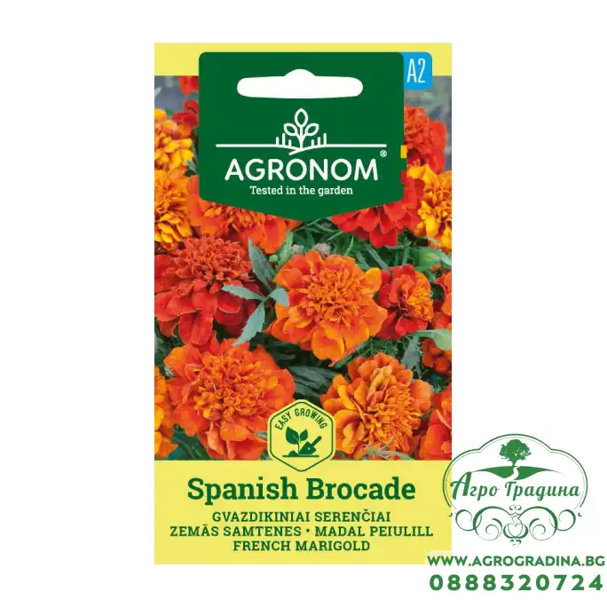 Тагетес Испански брокат Tagetes patula Spanish Brocade Тагетес Испански брокат Tagetes patula Spanish Brocade