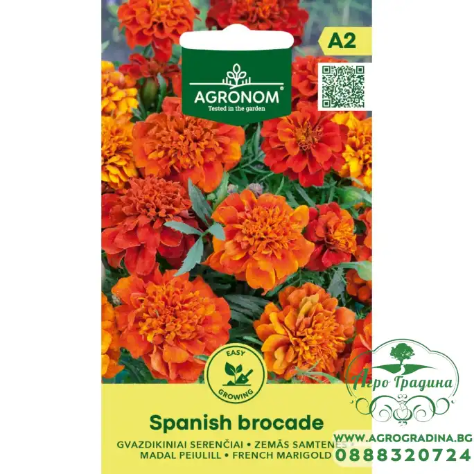 Тагетес Испански брокат Tagetes patula Spanish Brocade