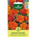 Тагетес Испански брокат Tagetes patula Spanish Brocade