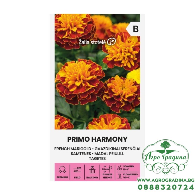 Тагетес Примо Хармони Tagetes patula Primo Harmony