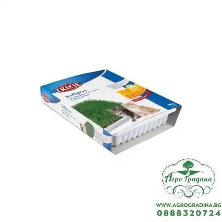 Трева за котки от ечемичени семена в тарелка Trixie - 100 гр