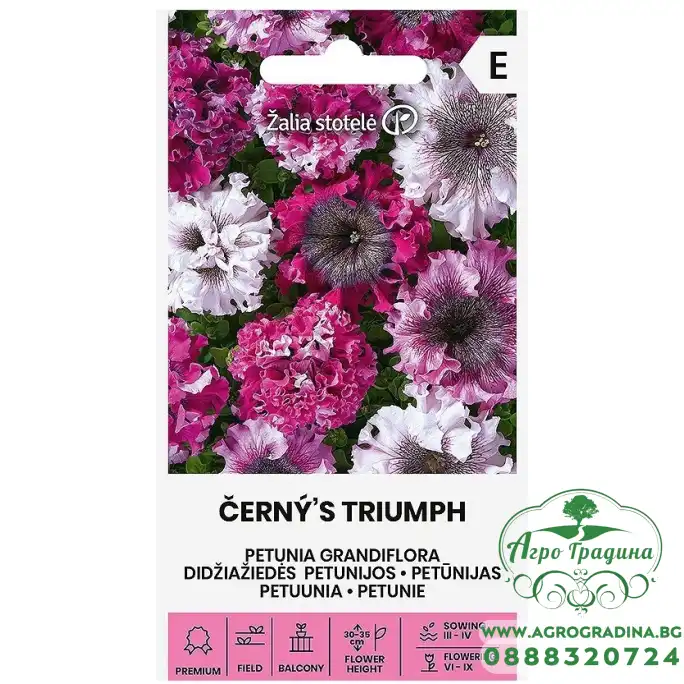 Петуния Едроцветна Триумфът Petunia grandiflora Cernys Triumph Петуния Едроцветна Триумфът Petunia grandiflora Cernys Triumph