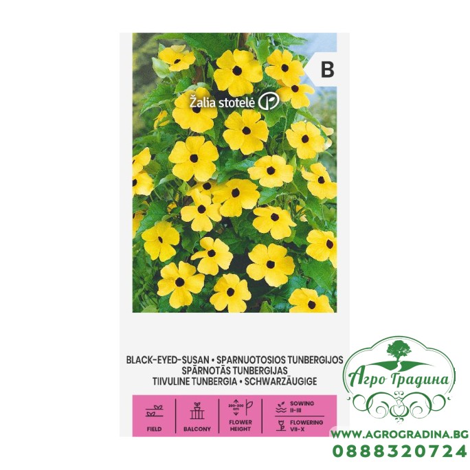 Тунбергия Чернооката Сюзън  Black eyed Susan