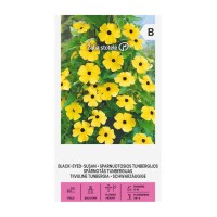 Тунбергия Чернооката Сюзън  Black eyed Susan