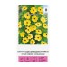 Тунбергия Чернооката Сюзън  Black eyed Susan – Саксийни и градински цветя