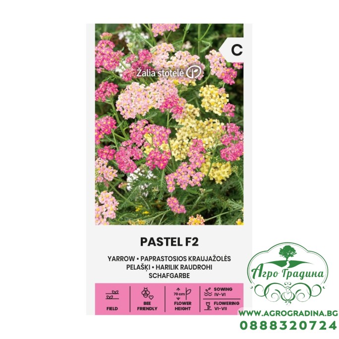 Бял равнец Пастел F2 Pastel F2