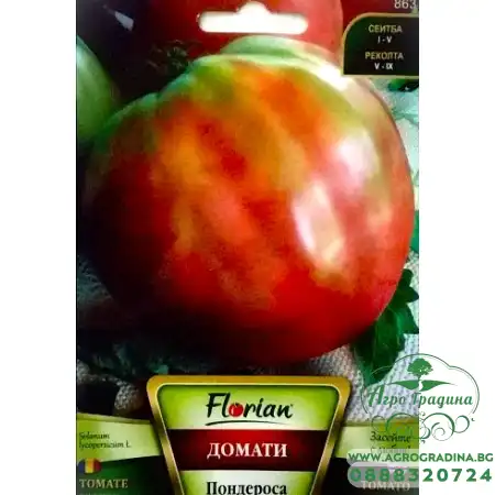 Домат Пондероса