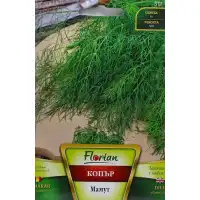 Копър Мамут