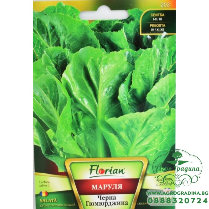 Маруля Черна Гюмюрджина