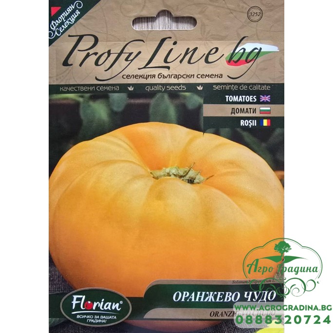 Домат Оранжево чудо - нов български сорт гигант
