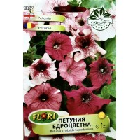 Петуния едроцветна/ Petunia x hybrida Superbissima