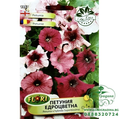Петуния едроцветна/ Petunia x hybrida Superbissima