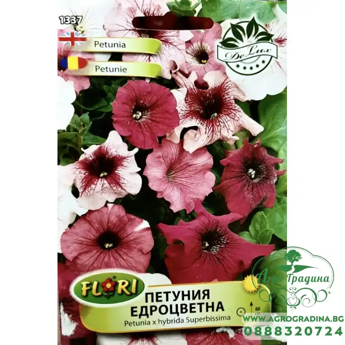 Петуния едроцветна Petunia x hybrida Superbissima Петуния едроцветна Petunia x hybrida Superbissima