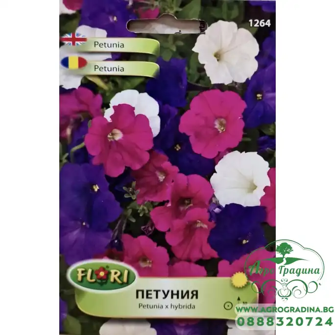 Петуния Бордюрна Микс / Petunia x hybrida