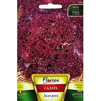 Салата Лоло Роса