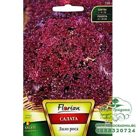 Салата Лоло Роса