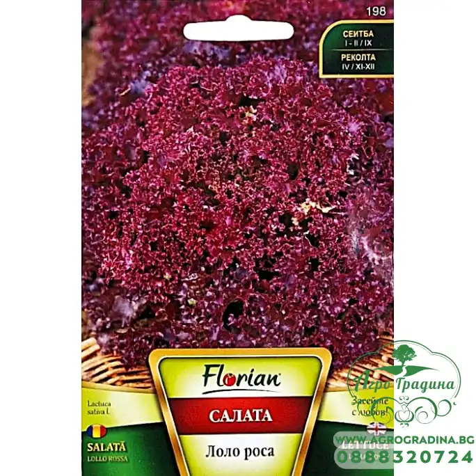 Салата Лоло Роса